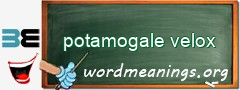 WordMeaning blackboard for potamogale velox